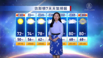 3月6日休斯顿天气预报