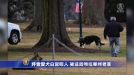 時事拼盤：拜登愛犬白宮咬人 被送回老家