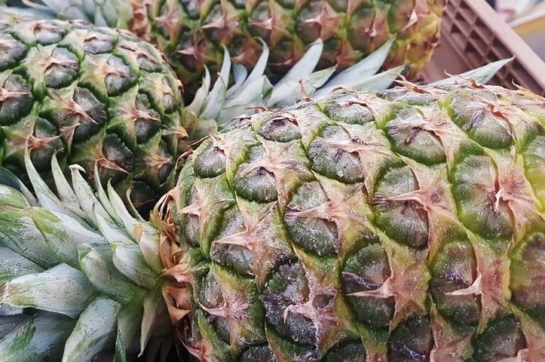 鳳梨的妙用與禁忌