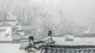 古風悠悠：為人洗冤，盜墓者竟自行認罪