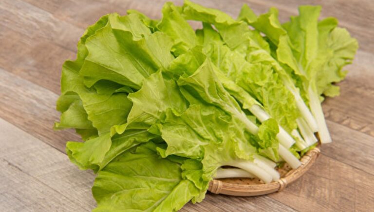 小白菜是高鈣蔬菜 還助解毒 4招避免農藥下肚