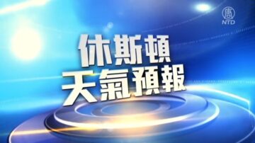 休斯顿一周天气预报