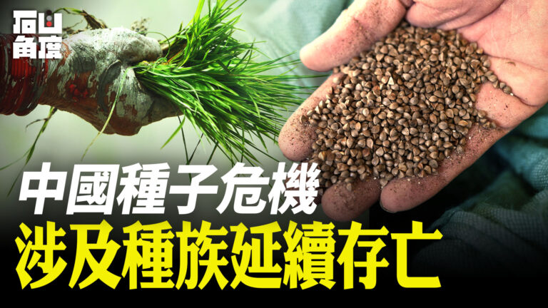 【有冇搞錯】習近平談「種子危機」 涉及種族延續存亡