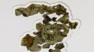 深藏沙漠洞穴1900年 以色列惊现新死海古卷碎片