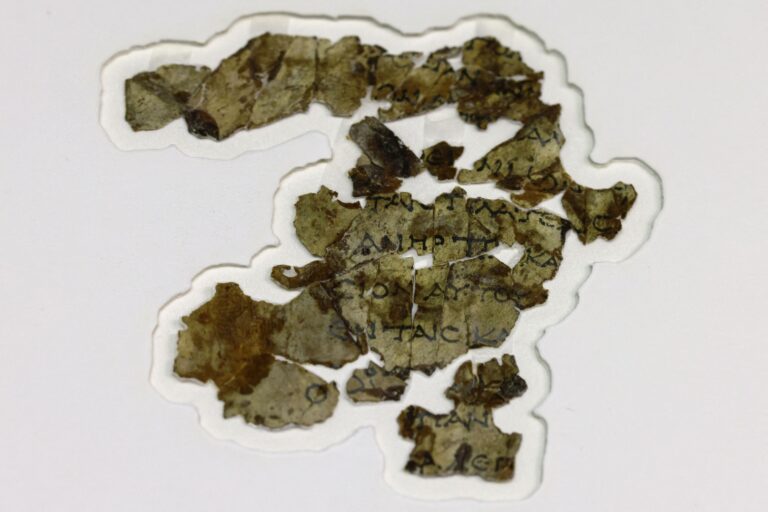 深藏沙漠洞穴1900年 以色列驚現新死海古卷碎片