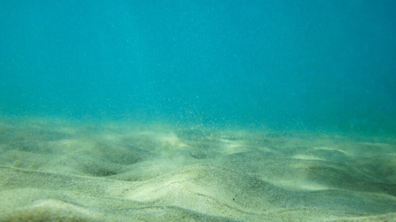 研究发现 海底可能存在神秘异域文明
