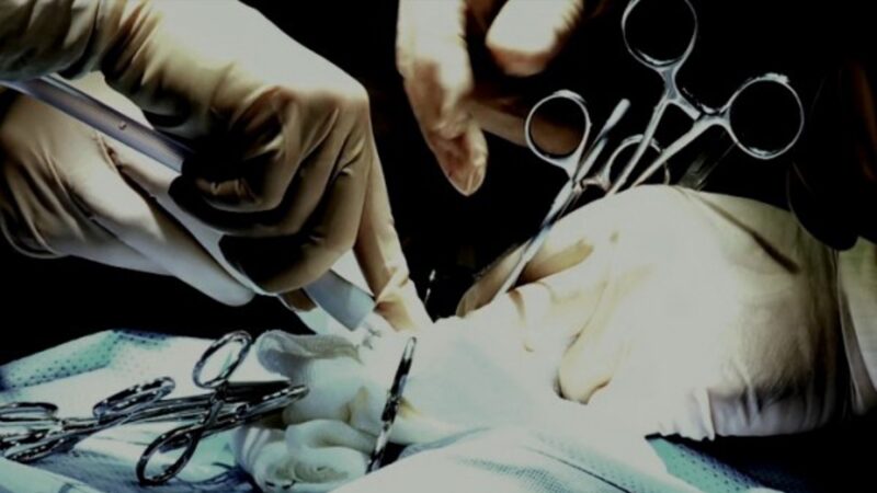 專家聯盟：國際醫療界應和中共器官移植業脫鉤