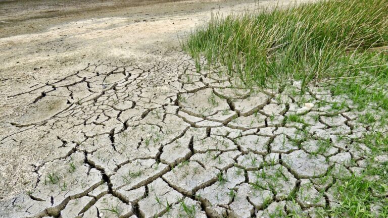 雲南多地嚴重乾旱 庫塘乾涸見底 學校停水