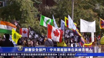 脸书安全部门：中共黑客瞄准海外维族人