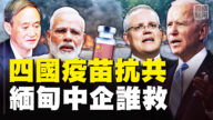 【横河观点】四国疫苗抗共 缅甸中企遭殃战狼何在