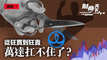 【财商天下】从狂买到狂卖 曾经的首富怎么成了负债王？