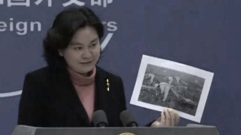 華春瑩鬧國際笑話 所舉美「黑奴照」被揭為囚犯照
