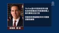 美參眾議員重提立法 政府設備禁用TikTok