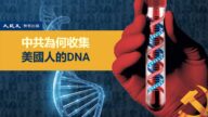【图解】中共为何收集美国人的DNA