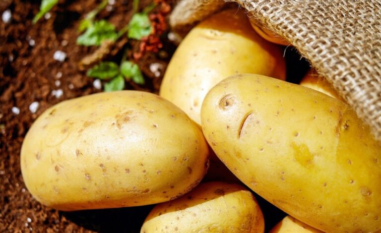 6種食物護心通血管 有效去除體內「垃圾」