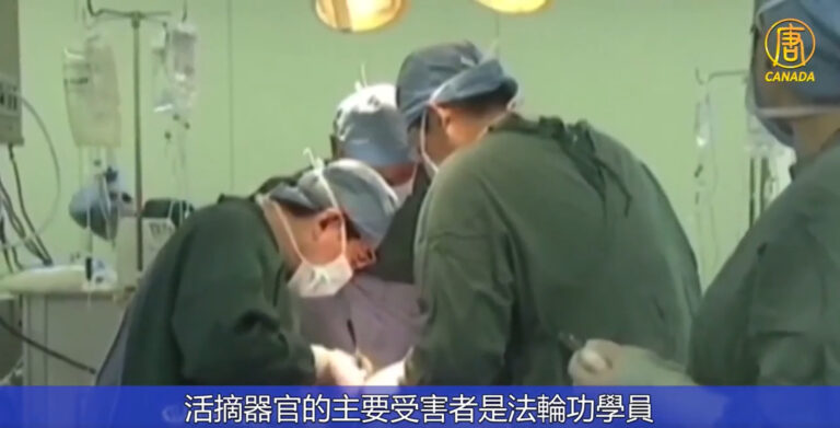 澳大利亞議員：面對中共活摘暴行不會沉默
