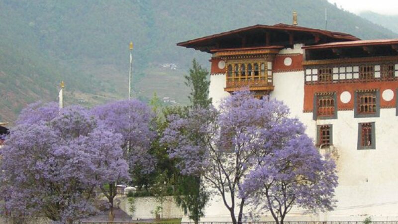 不丹小王子前世曾为中国僧人