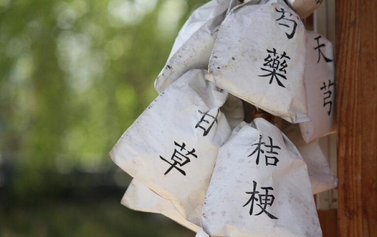 補氣健脾胃 三大經典中藥方