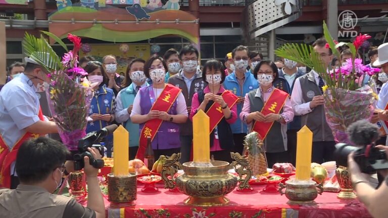 桃園桐花滿開 客家桐花祭登場
