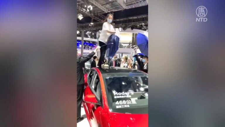 上海國際車展 女子站車頂大鬧特斯拉