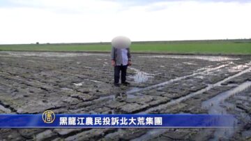 黑龙江农民投诉北大荒集团