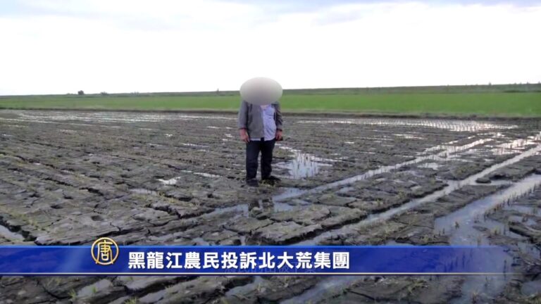 黑龍江農民投訴北大荒集團