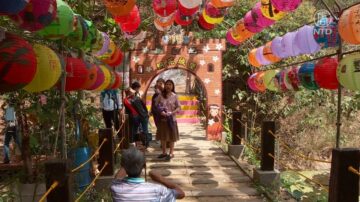 福田油桐花祭 首度結合虎山巖金針花吸客