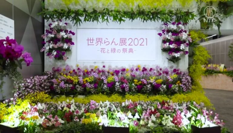 花與綠的祭典  世界蘭展點亮東京春天