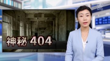 【新闻周刊】连线中国透视：解密特殊产物“404”