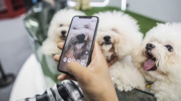 中国兴起“宠物共享” 有人租宠物找乐趣