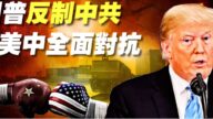 【圖解】川普反制中共 美中七大領域交鋒