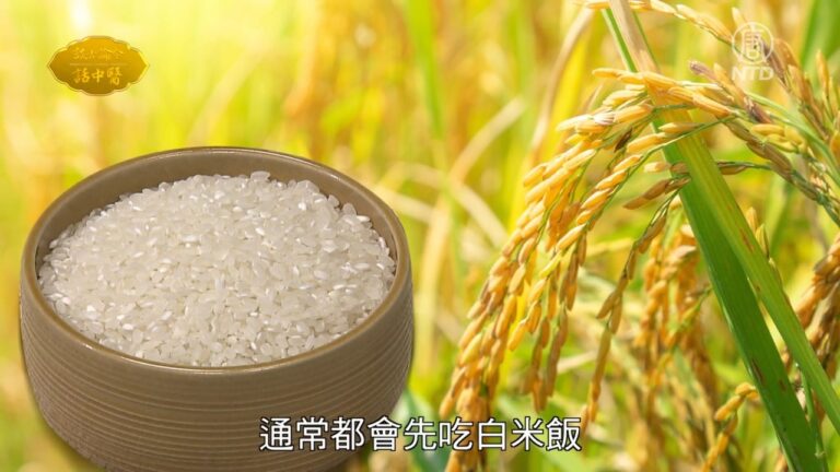 談古論今話中醫：白米粥的祕密