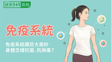 免疫系统藏巨大奥妙 你的身体怎样抗菌、抗病毒？