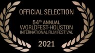 第54届休斯顿国际电影节 《归途》入围