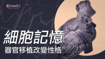 【小宇宙传说】鲜为人知的“移植记忆”故事