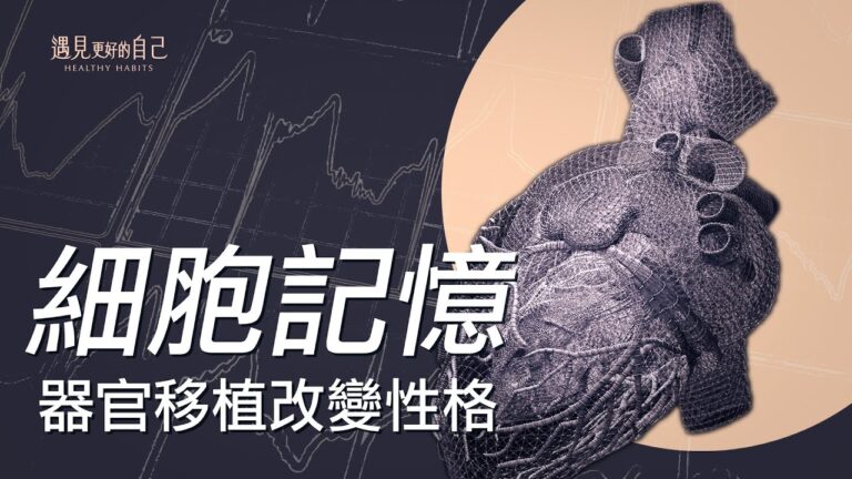 【小宇宙傳說】鮮為人知的「移植記憶」故事
