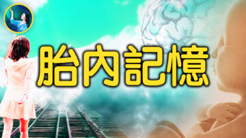 【未解之謎】「媽媽我記得你」 神奇的胎內記憶