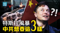 【遠見快評】特斯拉風暴揭秘：中共想得三樣東西