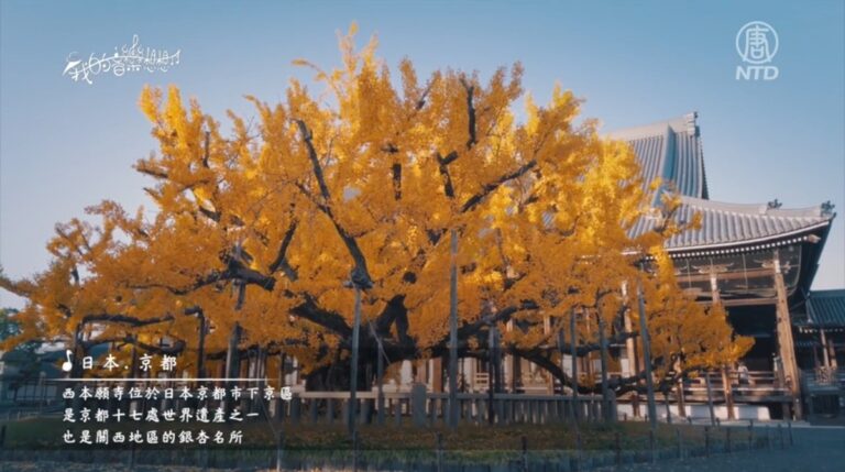 【我的音樂想想】長廊思古滿金扇