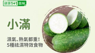 小滿節氣濕氣、熱氣都重！中醫推薦去濕特效食物