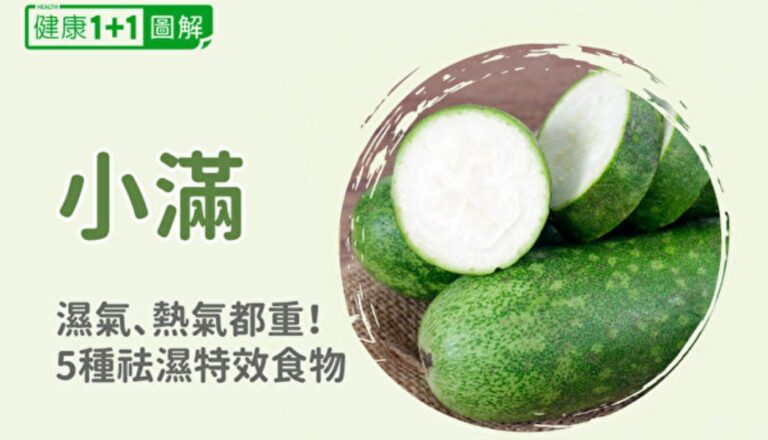 小滿節氣濕氣、熱氣都重！中醫推薦去濕特效食物