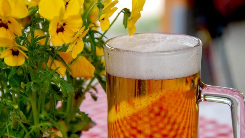 長期喝啤酒對身體有危害嗎？不可不知