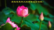 保定法轮功学员恭贺世界法轮大法日暨李洪志大师华诞(27条)