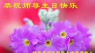锦州法轮功学员恭贺世界法轮大法日暨李洪志大师华诞(23条)
