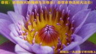 德州市法輪功學員恭賀世界法輪大法日暨李洪志大師華誕