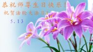盤錦法輪功學員恭賀世界法輪大法日暨李洪志大師華誕(27條)