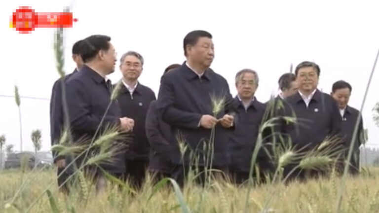 習近平真要換掉劉鶴？河南考察照片洩密