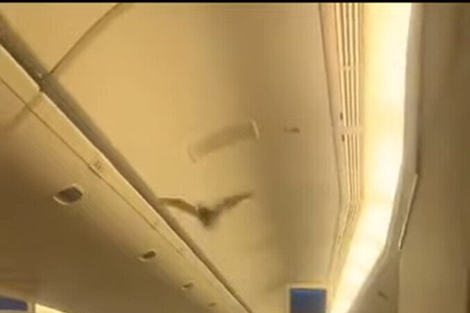 機上有蝙蝠亂飛 印航緊急返航 直擊視頻曝光