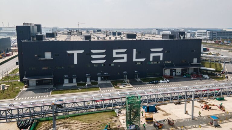 中共地方政府禁購特斯拉 國產電動車超低價搶市場