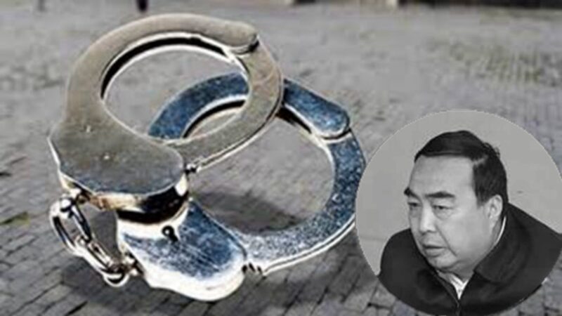 王友群：近期被查处的九个中共政法委书记